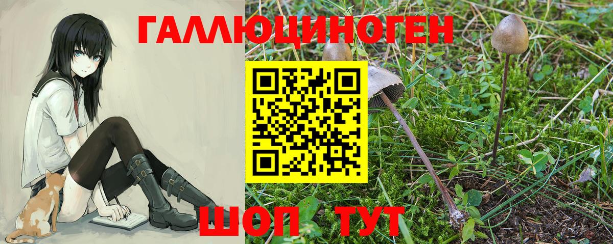 купить   Вход с VPN  Псилоцибиновые грибы ЛСД  Тобольск  Псилоцибиновые грибы мухоморы 